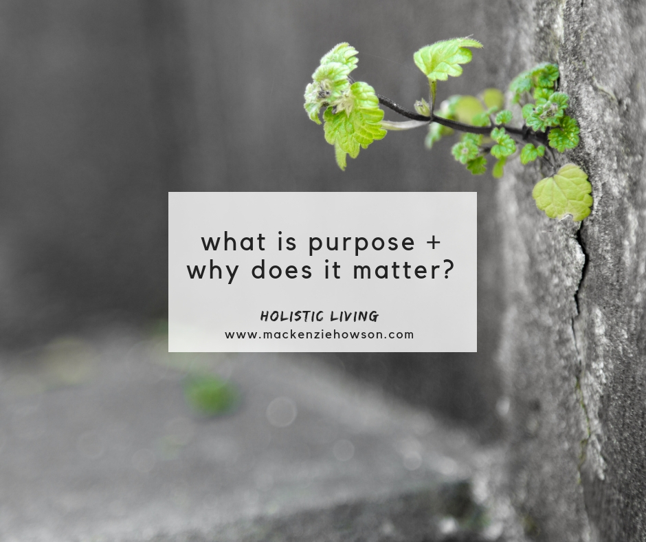 WHAT IS PURPOSE + WHY DOES IT MATTER?