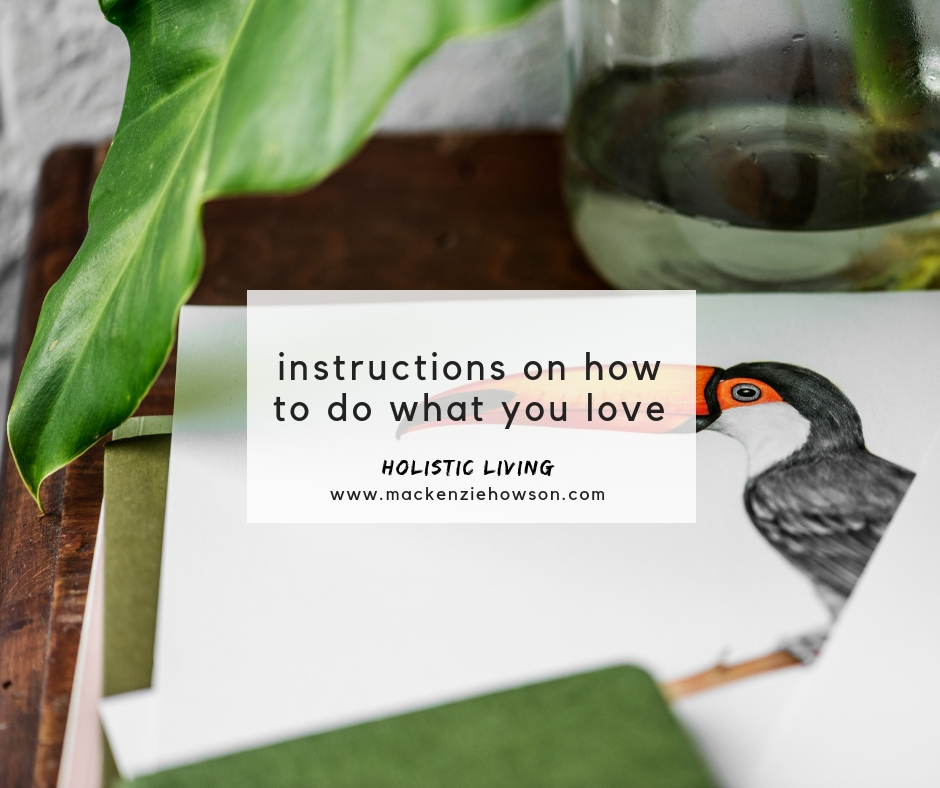 INSTRUCTIONS ON HOW TO DO WHAT YOU LOVE